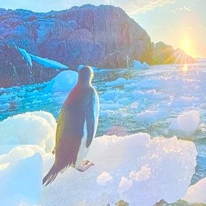 Meet your Posher, Summer